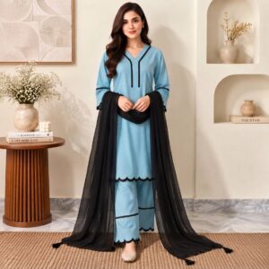 Sky Blue Pakistani Dhanak Suit Wholesale